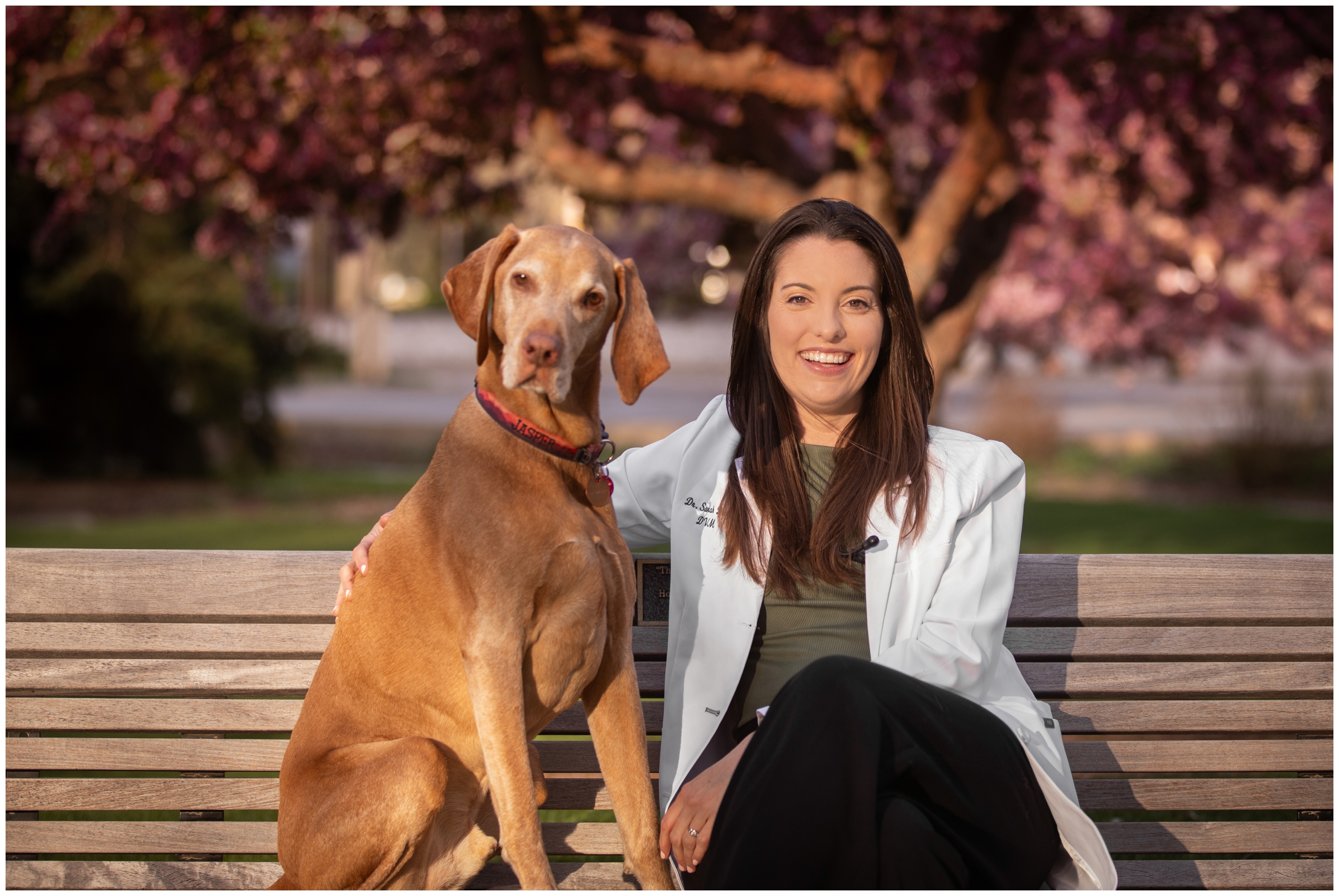 woman and her dog sitting on a bench at the CSU oval during Colorado college senior pictures by Plum pretty photography