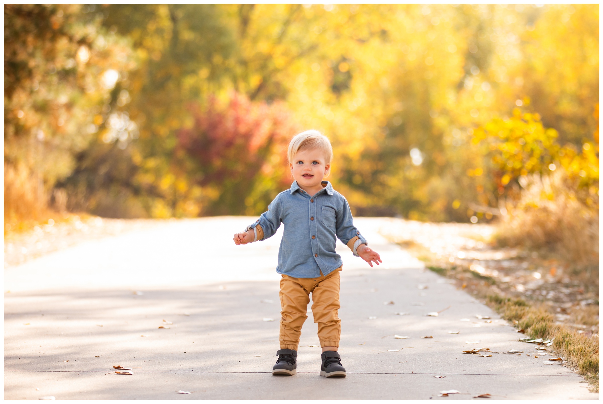 little boy walking during candid fall family pictures in Longmont Colorado