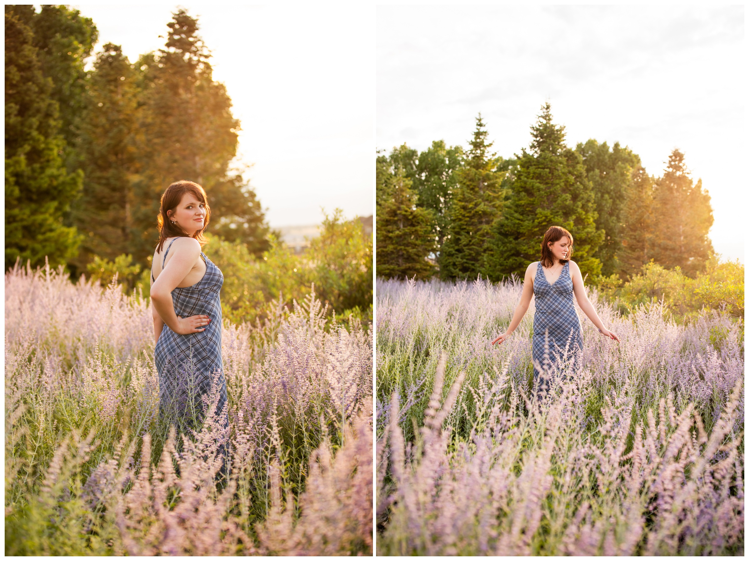 Pomona High senior photos in lavender field by Broomfield Colorado photographer Plum Pretty Photography