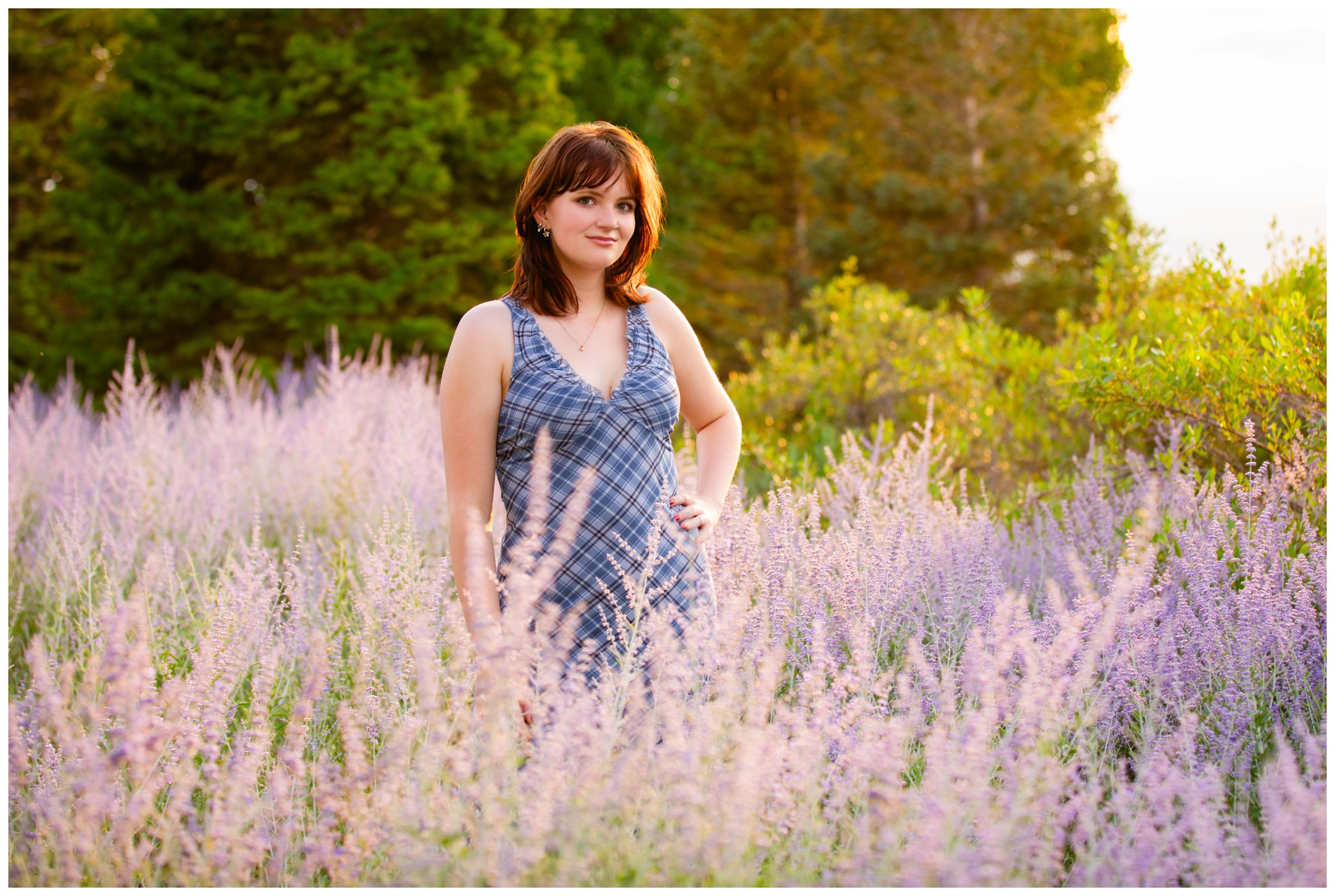 Pomona High senior photos in lavender field by Broomfield Colorado photographer Plum Pretty Photography