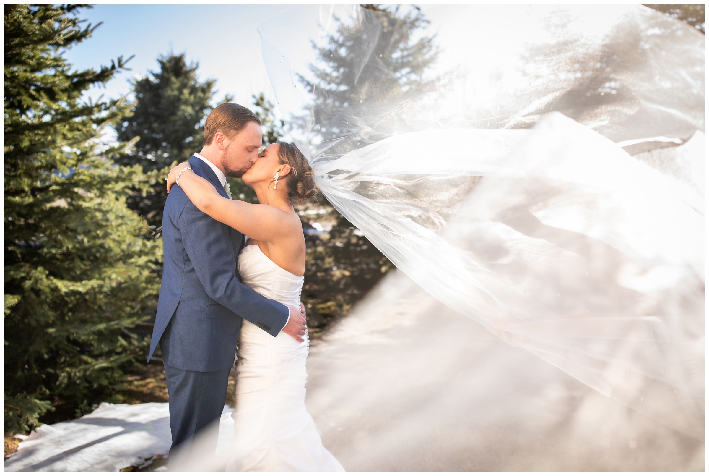 dramatic veil photos during Colorado wedding pictures at Spruce Mountain Ranch by Plum Pretty Photography