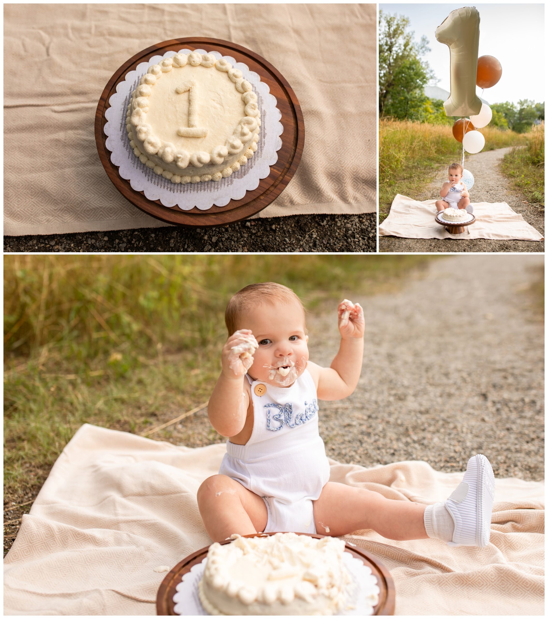 Colorado outdoor one year cake smash photography session by Plum Pretty Photography 