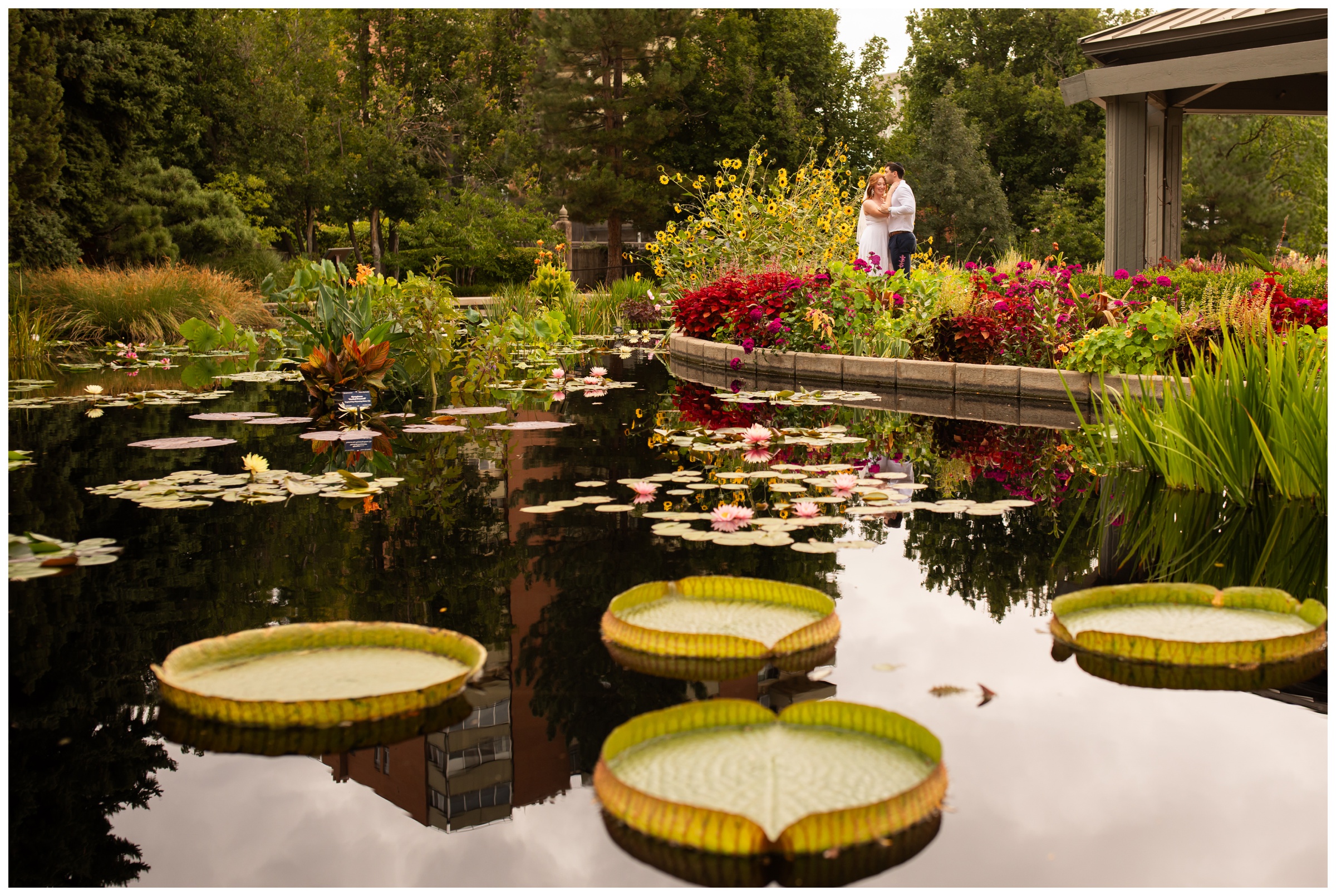 bride and groom posing in front of lily pad pond at Denver Botanic Gardens during Colorado elopement wedding photos